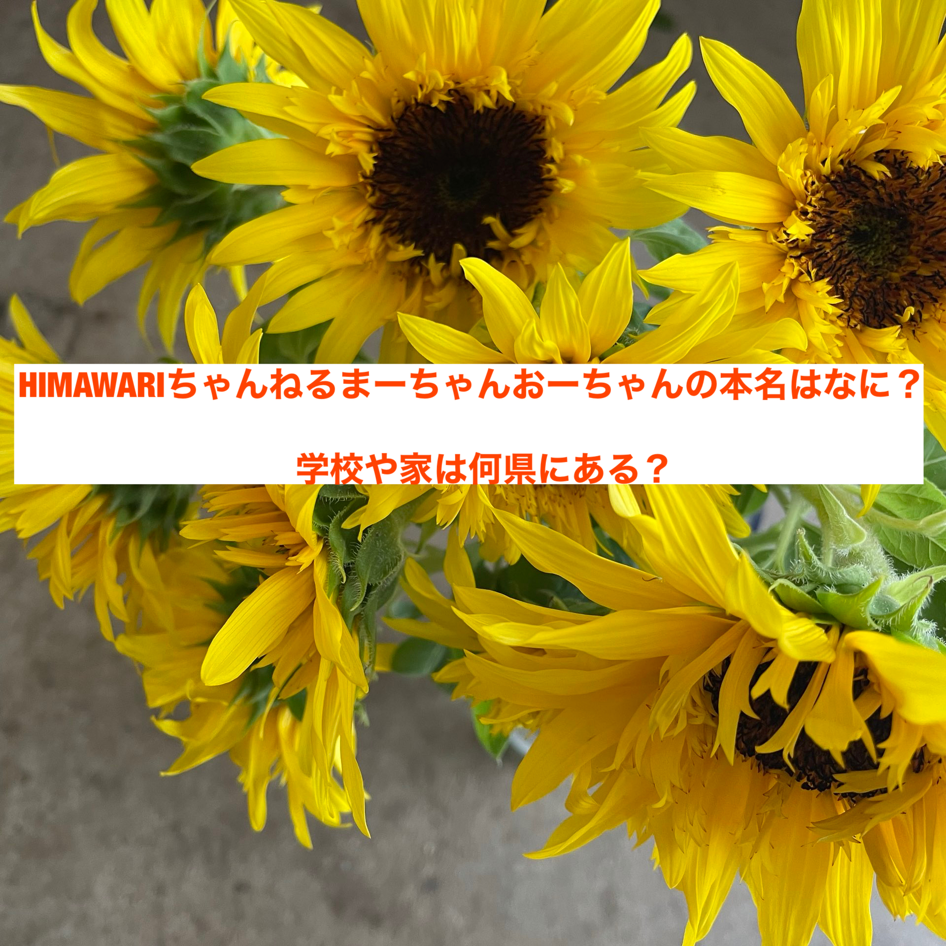 Himawariちゃんねるまーちゃんおーちゃんの本名はなに 学校や家は何県にある たかたんの日常